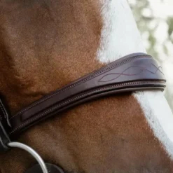 Dyon - Muserolle anatomique sans flash English Collection Marron Best