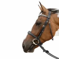 Dyon - Muserolle anatomique sans flash D Collection Noir New