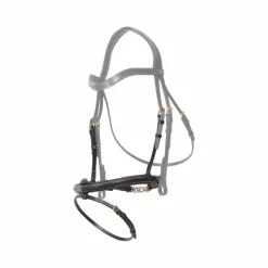 Dyon - Muserolle combinée avec chaîne D Collection Noir New