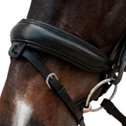 New Dyon - Muserolle combinée Crank Matt Noir