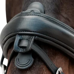 New Dyon - Muserolle combinée Crank Matt Noir