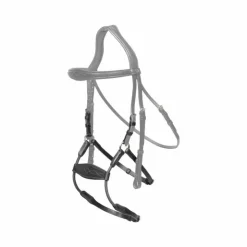 Dyon - Muserolle hybride élastique New English Collection Noir Clearance