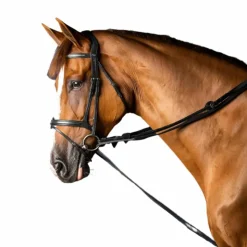 Hot Dyon - Rênes allemandes en cuir et nylon 5/8 New English Collection Noir