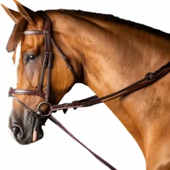 Dyon - Rênes allemandes en cuir et nylon 5/8 New English Collection brun Marron Sale