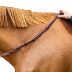 Dyon - Rênes caoutchouc 5/8 avec arrêtoirs et mousqueton Working brun Marron Outlet