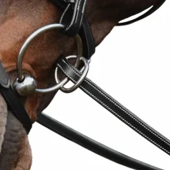 Dyon - Rênes caoutchouc 1/2 avec 7 arrêtoirs fermeture à anneaux Noir New