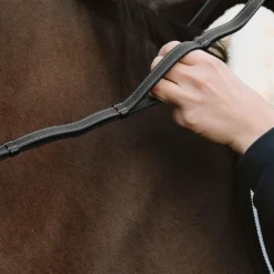 New Dyon - Rênes en cuir à poignées Collection Working by Dy'on Noir