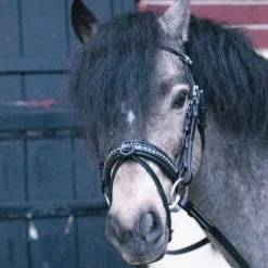 New Eden by Pénélope - Bridon Eden avec rênes Noir