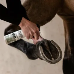 Ekinat - Spray Entretien des fourchettes Best