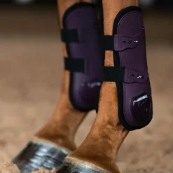 Best Equestrian Stockholm - Guêtres ouvertes Black Raven x2 Prune