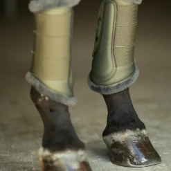 Best Equestrian Stockholm - Guêtres fermées Striking Valley (x2) Vert