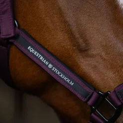 Equestrian Stockholm - Licol et longe Black Raven Hot