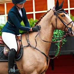 Online Equestrian Stockholm - Tapis de selle Black Edition Noir