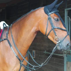 Best Equiline - Bonnet long pour chevaux Noir