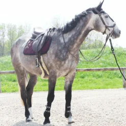 Best Equiline - Bonnet long pour chevaux Noir