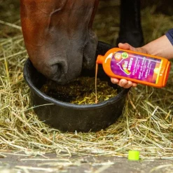 Equinatura - Complément alimentaire liquide respiratoire aux herbes Orange New