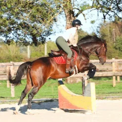 Equithème - Amortisseur teddy / Noir Sale