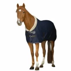 Equithème - Chemise Mesh Teddy Marine New