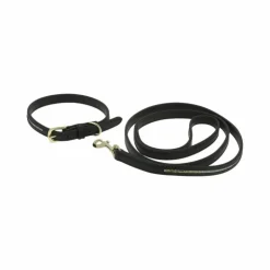 Hot Equithème - Collier et laisse pour chien Max Noir