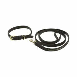 Discount Equithème - Collier et laisse pour chien Max Marron