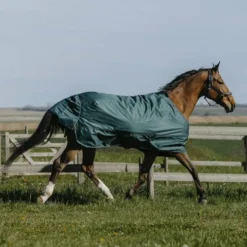 Online Equithème - Couure d'extérieur Tyrex 600D 0g Vert