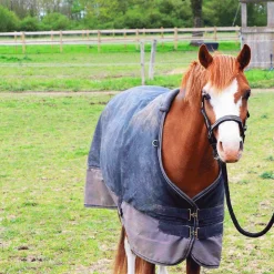 Online Equithème - Couverture d'extérieur Tyrex 600D /gris 0g Marine