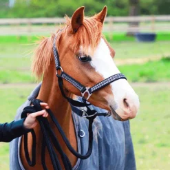 Online Equithème - Couverture d'extérieur Tyrex 600D /gris 0g Marine