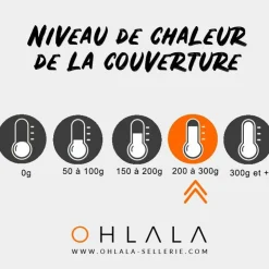 Equithème - Couverture d'extérieur Tyrex poulains 1200D /bordeaux 220g Marine New