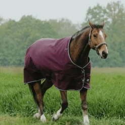 Hot Equithème - Couverture d'extérieur Tyrex 1200D 450g Bordeaux