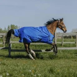 Sale Equithème - Couverture d'extérieur Tyrex Aisance 1200D 300g roi Bleu