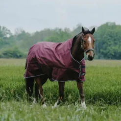 Best Equithème - Couverture d'extérieur Tyrex 1200D High Neck 50g Bordeaux