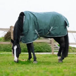 Hot Equithème - Couure Tyrex 600D recyclée 300g Vert