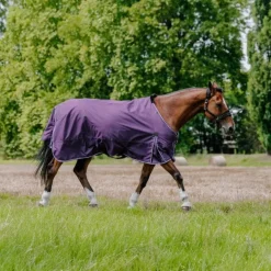 Best Equithème - Couverture Tyrex Aisance 600D prune 150g Bordeaux