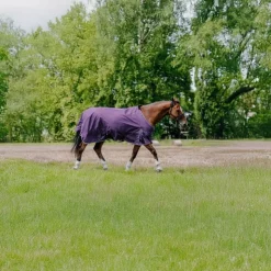 Best Equithème - Couverture Tyrex Aisance 600D prune 150g Bordeaux