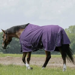 Equithème - Couverture Tyrex Aisance 600D prune 50g Violet Sale