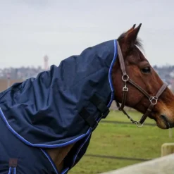 Equithème - Couvre-cou Classic 1200D 0g Marine Best