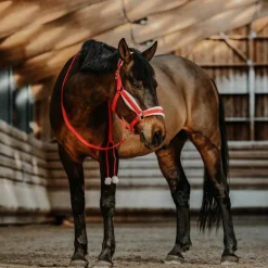 Equithème - Ensemble licol + longe Xmas Rouge