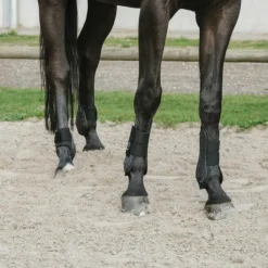 Equithème - Guêtres et protège-boulets Je t'aime Noir New