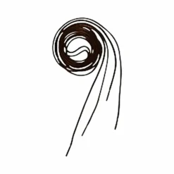 Online Equithème - Lacets brun