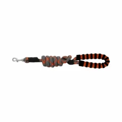 Online Equithème - Laisse pour chien avec poignée Haspen / orange Noir