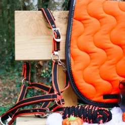 Hot Equithème - Licol + longe Satiné noir/ Orange