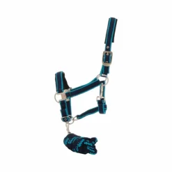 Best Equithème - Licol + longe Satiné / turquoise Marine