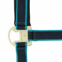 Best Equithème - Licol + longe Satiné / turquoise Marine