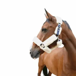 Discount Equithème - Licol de transport Teddy marine/ écru