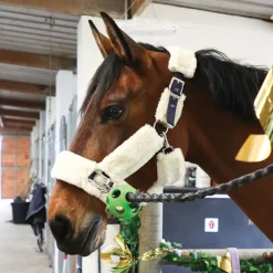 Discount Equithème - Licol de transport Teddy marine/ écru