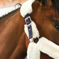 Discount Equithème - Licol de transport Teddy marine/ écru