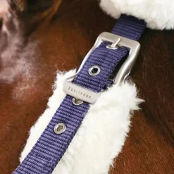 Discount Equithème - Licol de transport Teddy marine/ écru