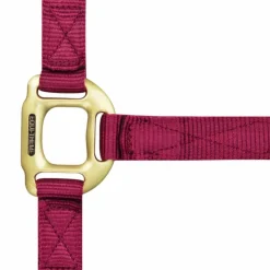 Equithème - Licol en nylon bordeaux Clearance