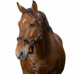 Equithème - Licol et longe tressé beige/ choco/ noir Marron Best