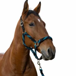 Equithème - Licol et longe tressé turquoise/ / noir Marine Outlet
